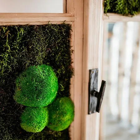 Mama Mia Appartement Radovljica