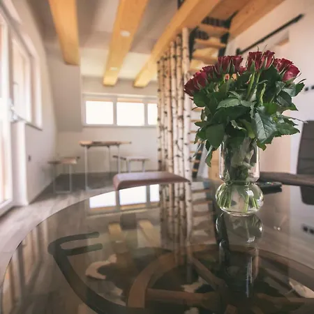 Mama Mia 公寓 拉多夫吉卡