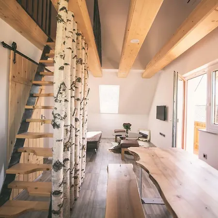 Mama Mia * 拉多夫吉卡