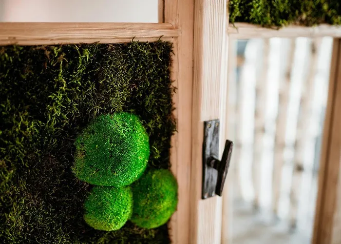 Mama Mia דירה רדובליצ'ה